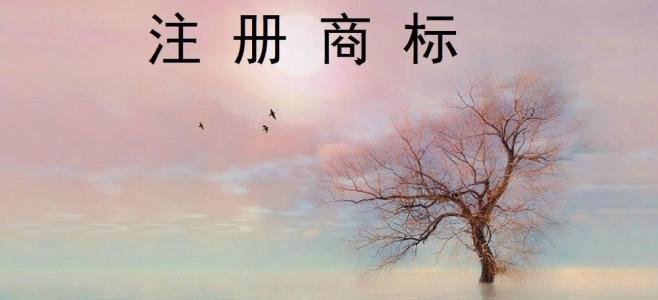 公司需要商標(biāo)注冊，該怎么做呢？